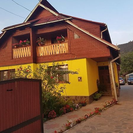 Camere De Inchiriat Floarea Reginei Vişeu de Sus Exteriér fotografie