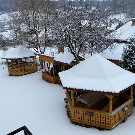 Camere De Inchiriat Floarea Reginei Vişeu de Sus Exteriér fotografie