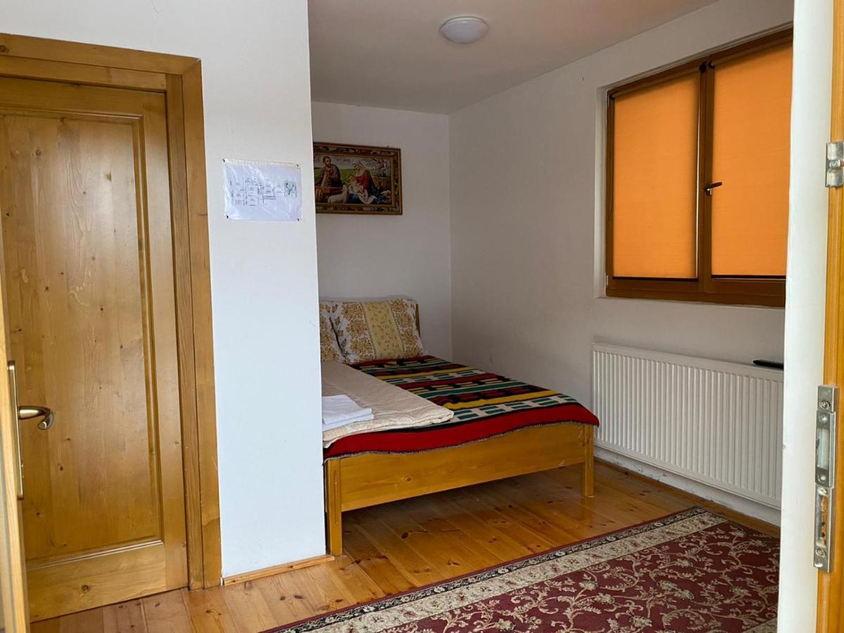 Camere De Inchiriat Floarea Reginei Vişeu de Sus Exteriér fotografie