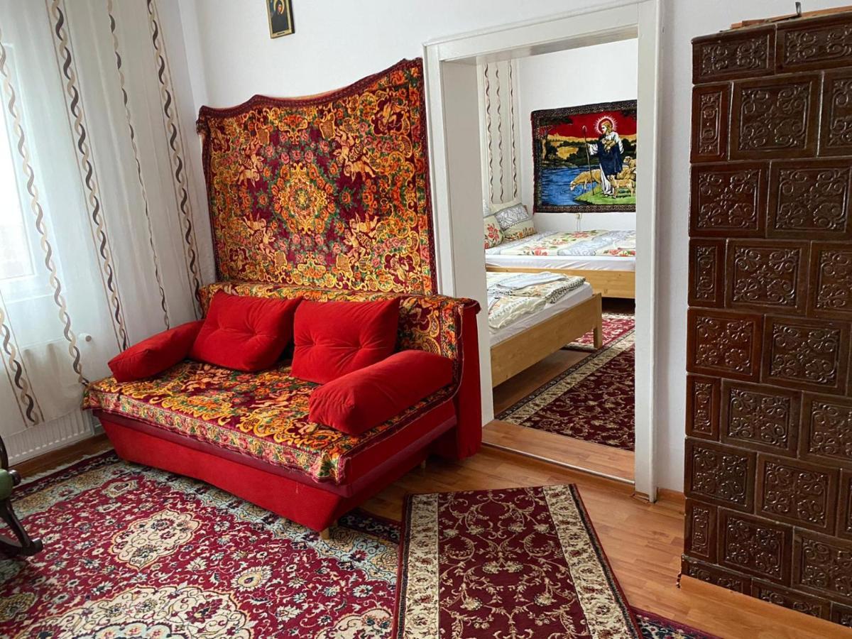 Camere De Inchiriat Floarea Reginei Vişeu de Sus Exteriér fotografie