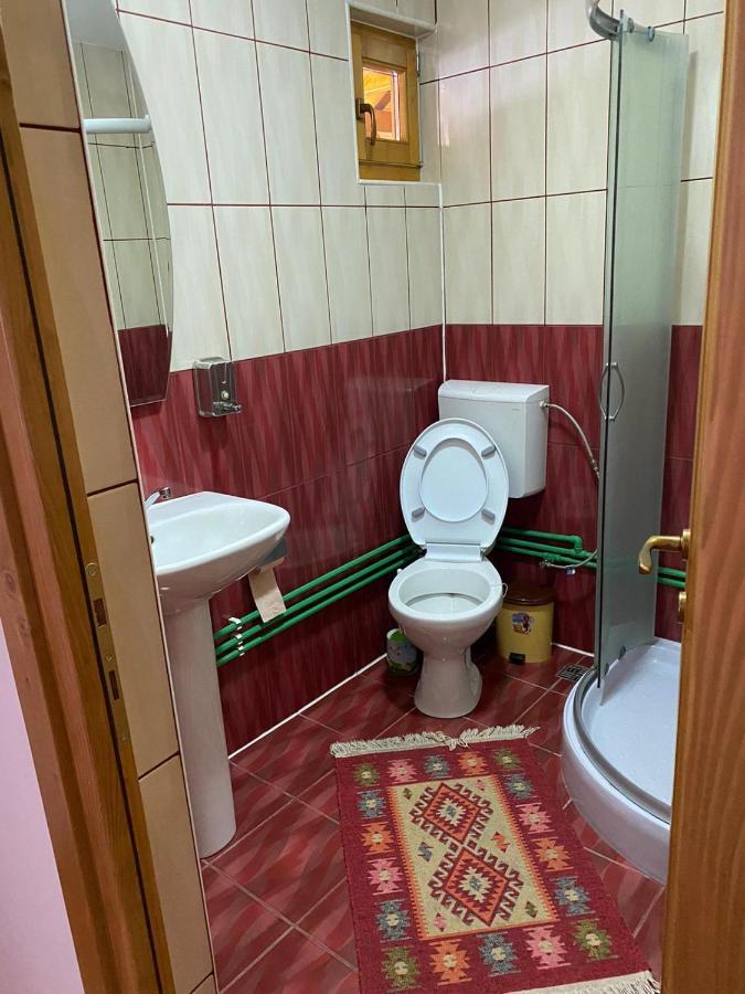 Camere De Inchiriat Floarea Reginei Vişeu de Sus Exteriér fotografie