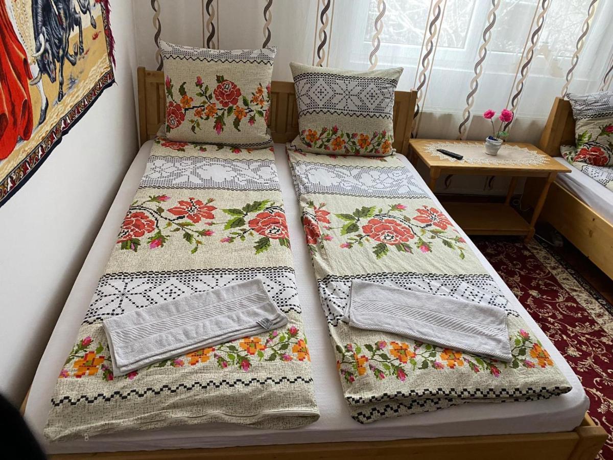 Camere De Inchiriat Floarea Reginei Vişeu de Sus Exteriér fotografie