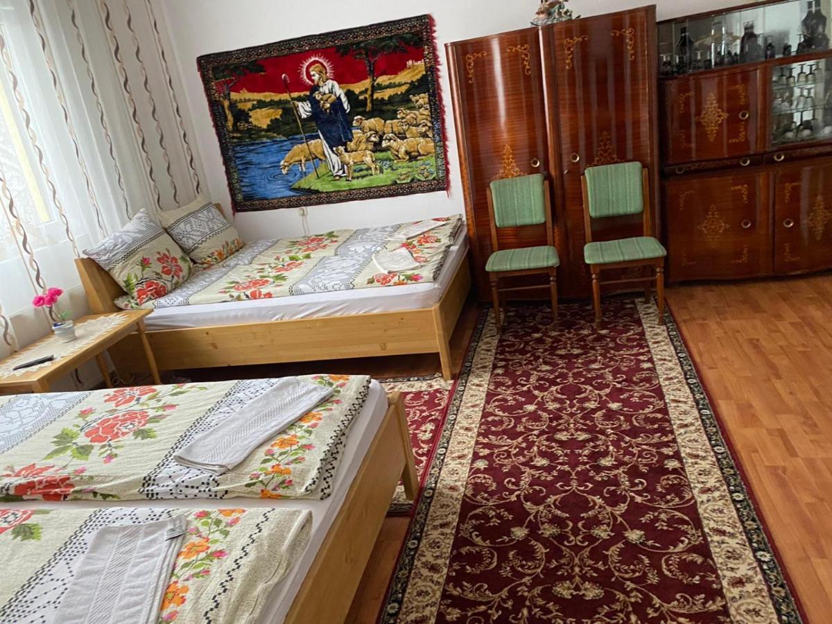 Camere De Inchiriat Floarea Reginei Vişeu de Sus Exteriér fotografie