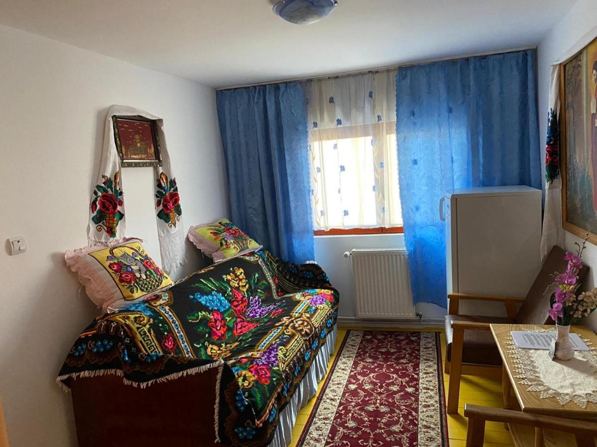 Camere De Inchiriat Floarea Reginei Vişeu de Sus Exteriér fotografie