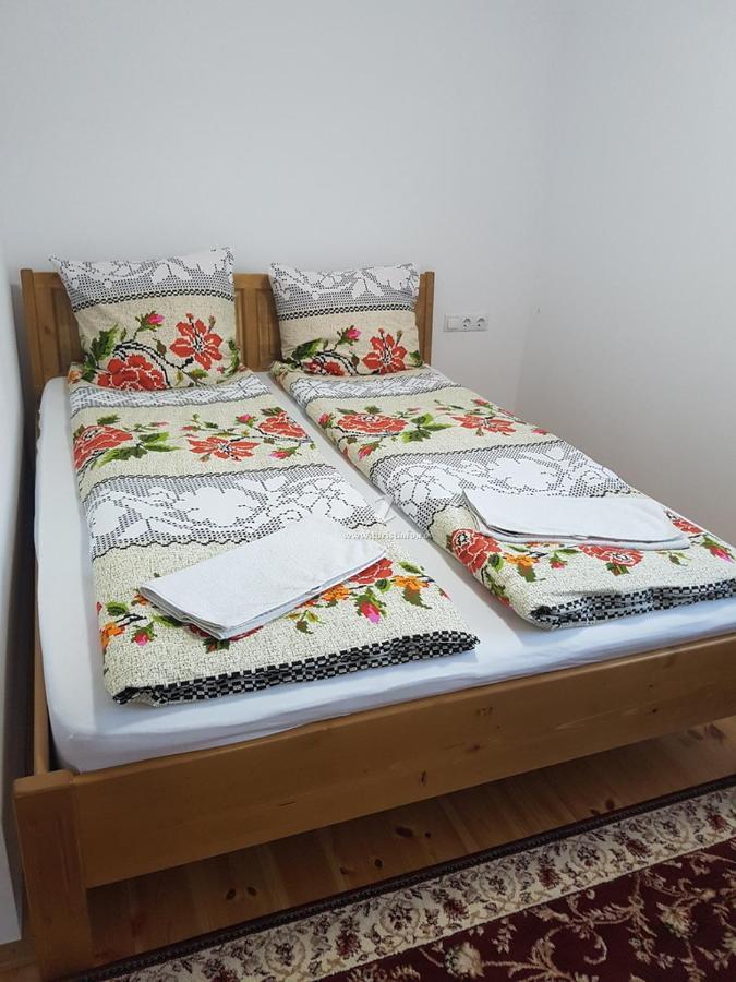 Camere De Inchiriat Floarea Reginei Vişeu de Sus Exteriér fotografie