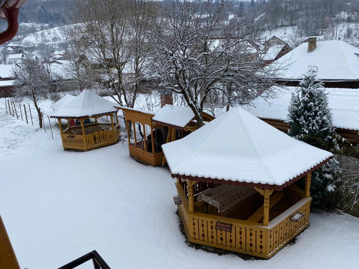 Camere De Inchiriat Floarea Reginei Vişeu de Sus Exteriér fotografie