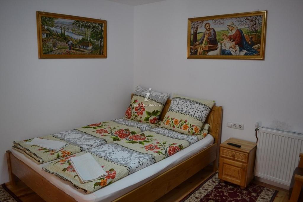 Camere De Inchiriat Floarea Reginei Vişeu de Sus Exteriér fotografie